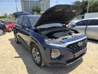 2019 Hyundai Santa Engine